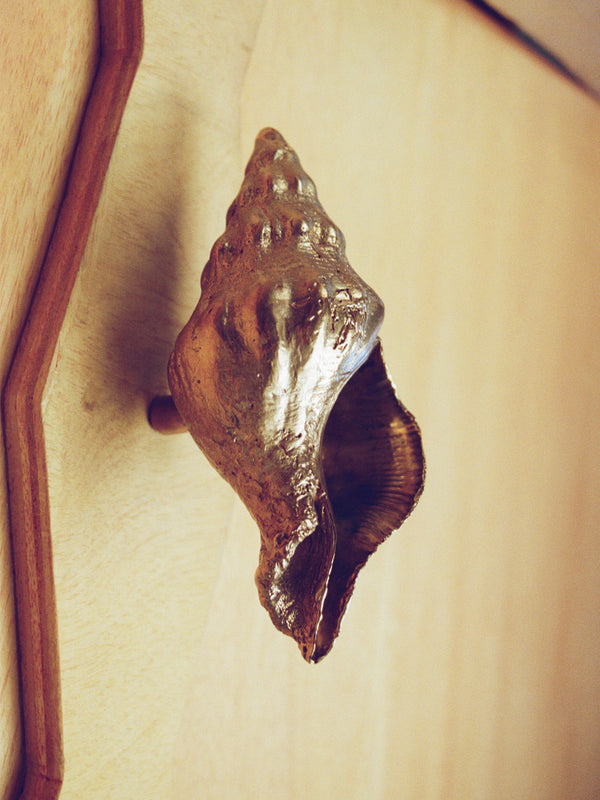 Large Sea Snail Door and Drawer Knob