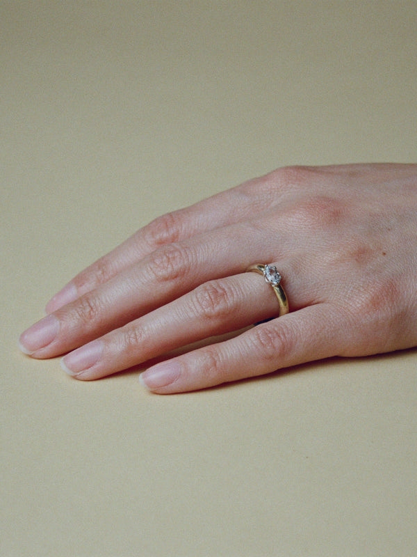 Otto Ring