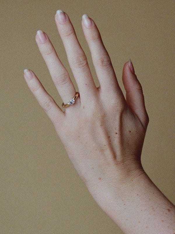 Otto Ring