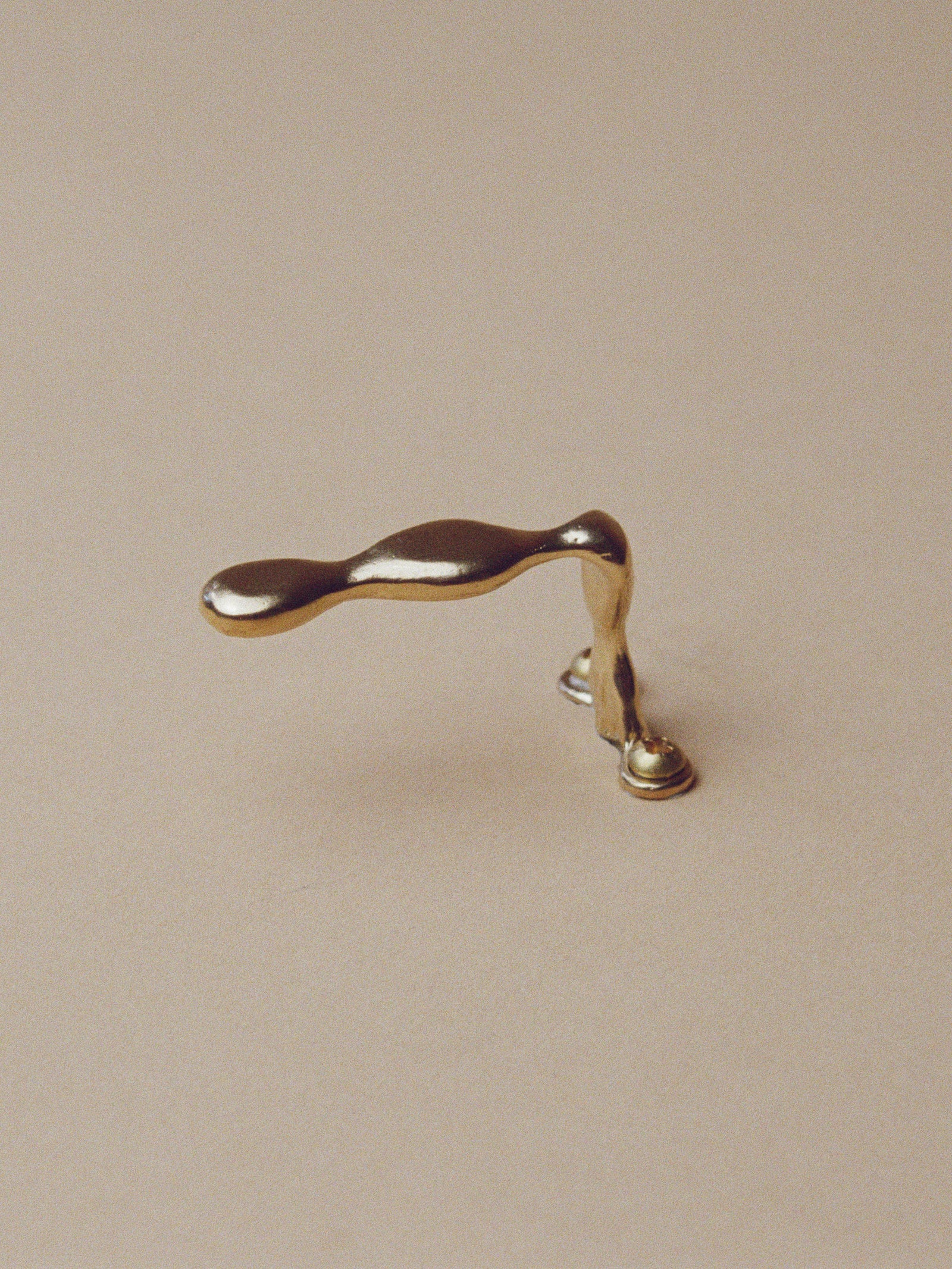 Hook and Cabinet Pull