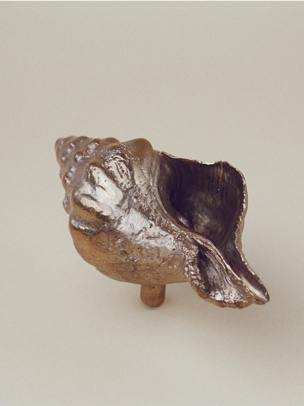 Large Sea Snail Door and Drawer Knob