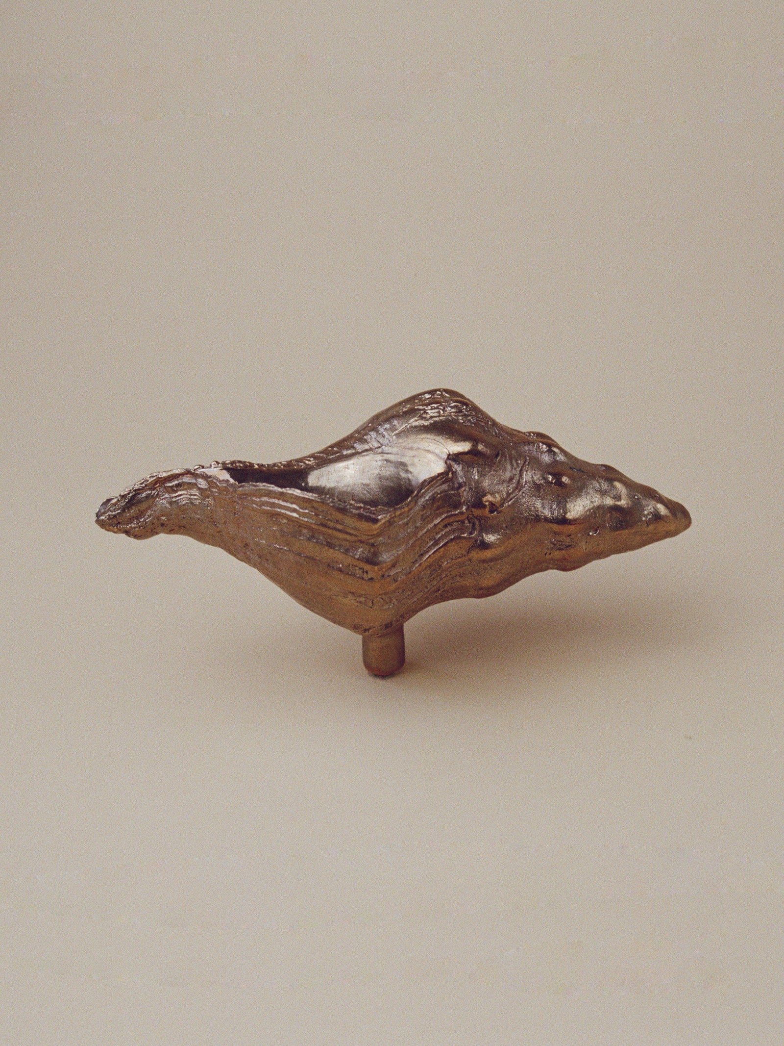 Large Sea Snail Door and Drawer Knob