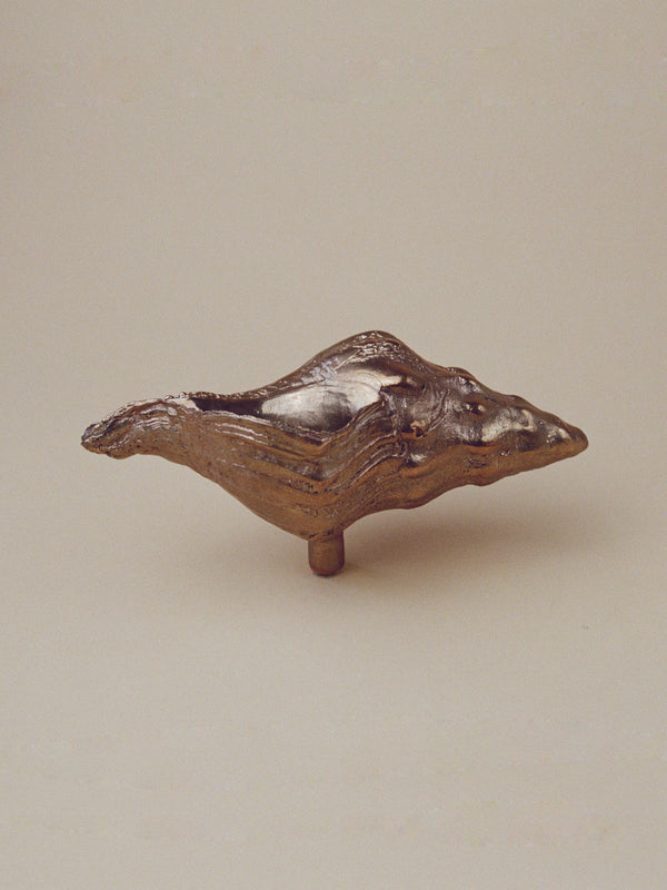 Large Sea Snail Door and Drawer Knob
