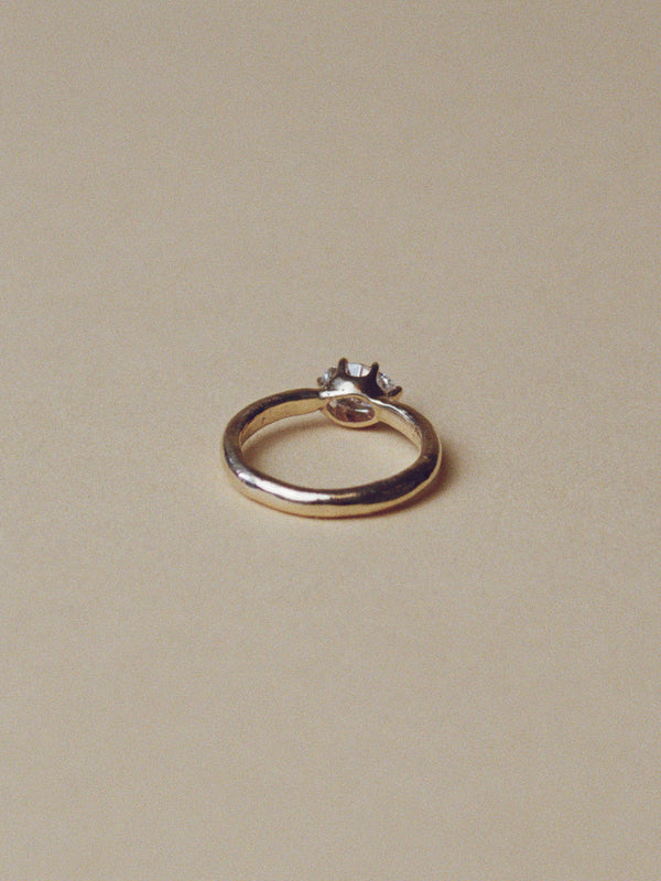 Otto Ring