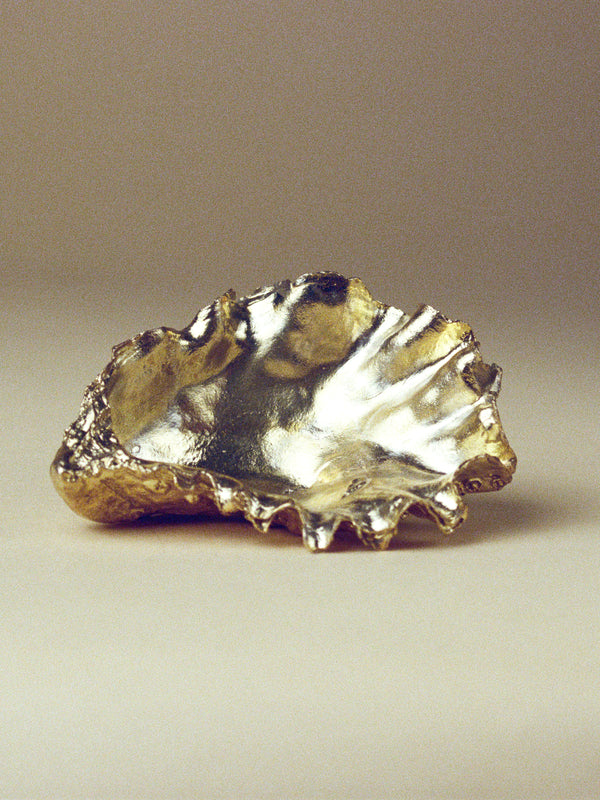 Oyster Shell