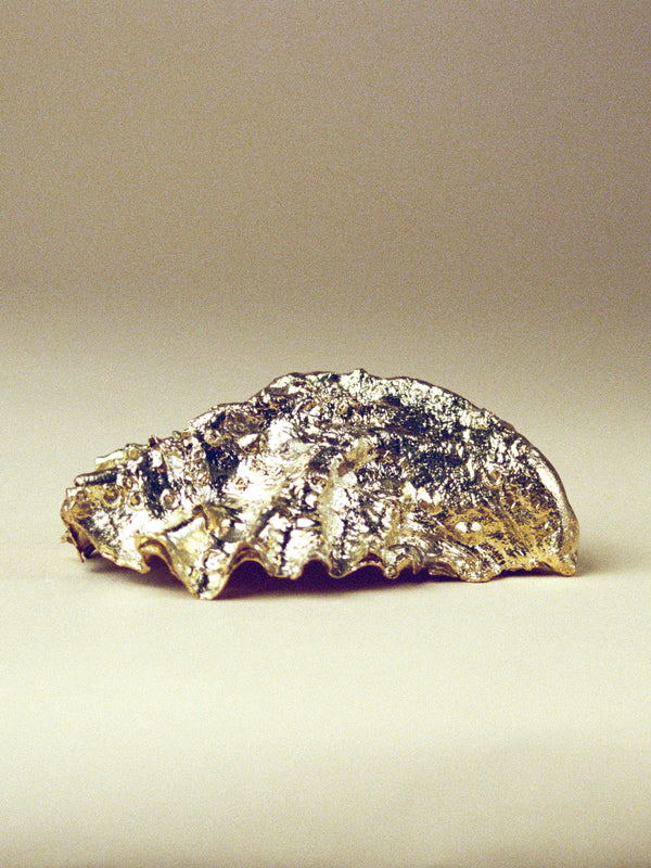 Oyster Shell