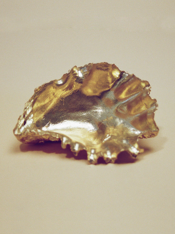 Oyster Shell
