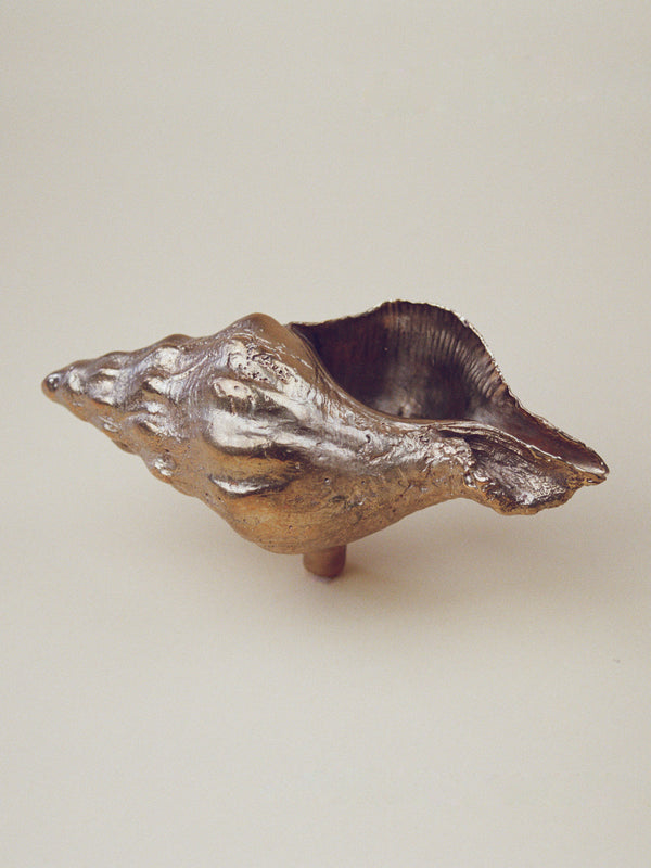 Large Sea Snail Door and Drawer Knob